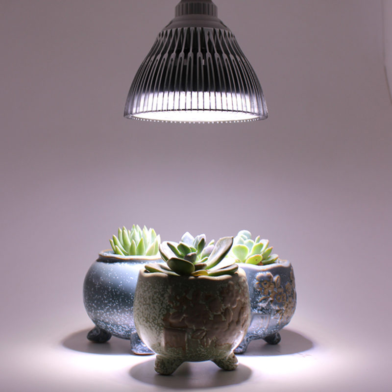 led plant light