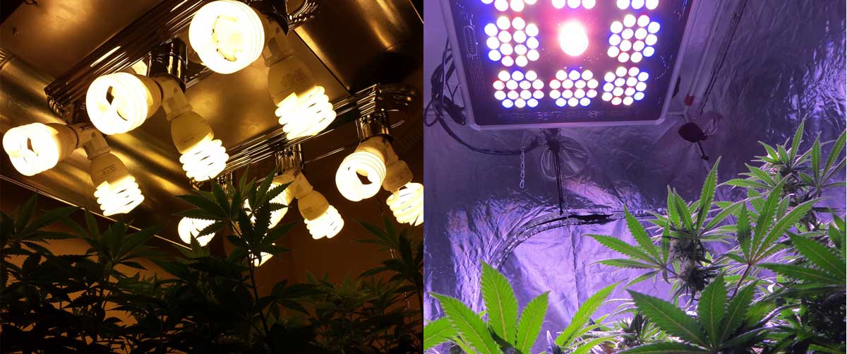 t5 led grow lights