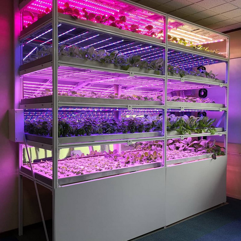 led grow light full spectrum